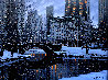 Central Park Limited Edition Print by Alexei Butirskiy - 0