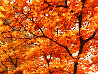 Autumn Leaves 2008 Embellished - Huge Limited Edition Print by Alexei Butirskiy - 6
