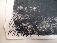 Stones for a Wall (Suite of 10) Limited Edition Print by Vito Acconci - 10 Stones for a Wall (Suite of 10) Limited Edition Print by Vito Acconci - 10