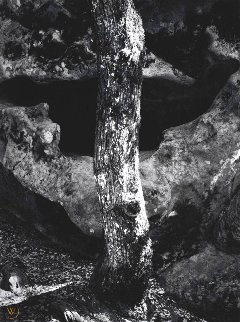California Portfolio Four: Castle Rock, Summit Road Above Saratoga Limited Edition Print - Ansel Adams California Portfolio Four: Castle Rock, Summit Road Above Saratoga Limited Edition Print - Ansel Adams
