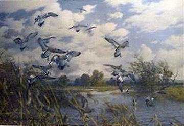 Wild Heritage Widgeon Limited Edition Print - Harry Curieux Adamson Wild Heritage Widgeon Limited Edition Print - Harry Curieux Adamson