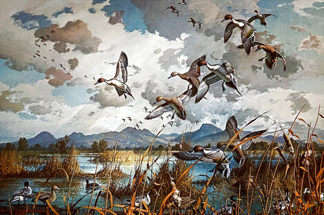 Butte Sink Tableau Limited Edition Print - Harry Curieux Adamson