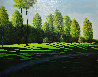 Peak Light Forms 2002 36x46 Original Painting by Roy Ahlgren - 1