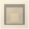 White Line Squares (Series Ii), XIV 1966 Limited Edition Print by Josef Albers - 0