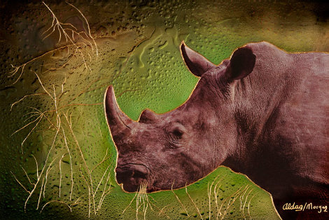 Rhino 24x36 Original Painting - Juergen Aldag