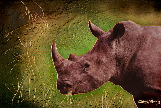 Rhino 24x36 Original Painting by Juergen Aldag