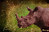 Rhino 24x36 Original Painting by Juergen Aldag - 0