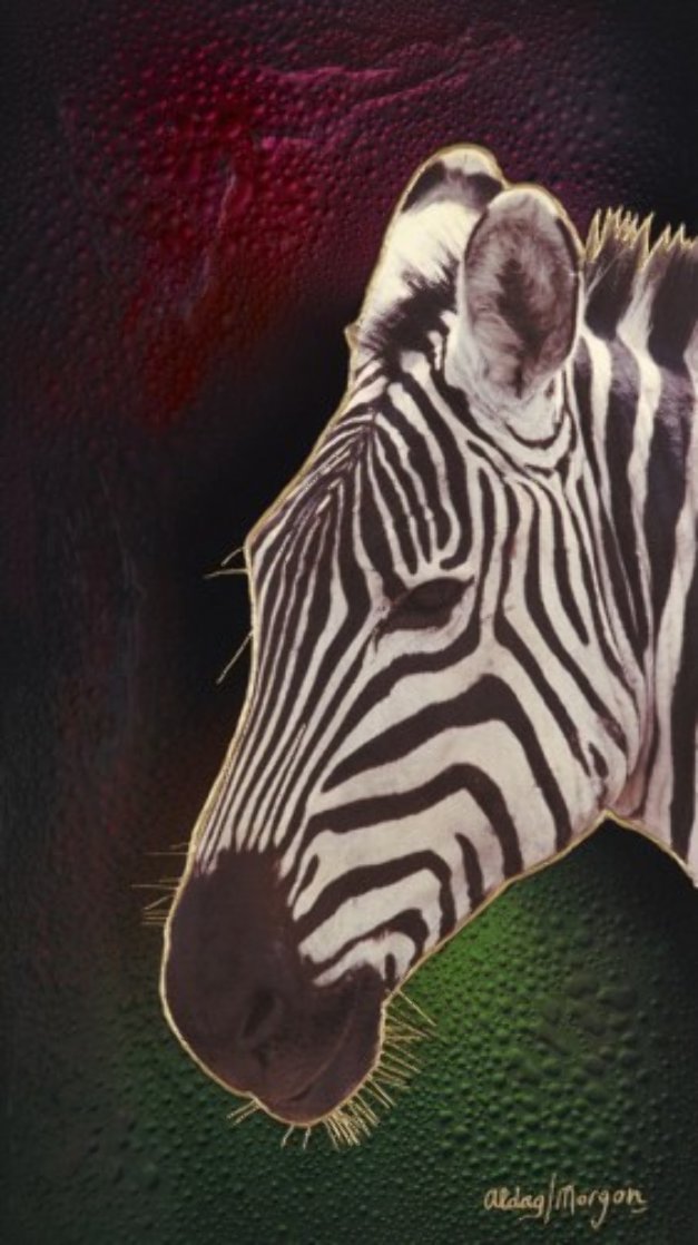 Black Or White Zebra 36x20 Original Painting by Juergen Aldag Black Or White Zebra 36x20 Original Painting by Juergen Aldag
