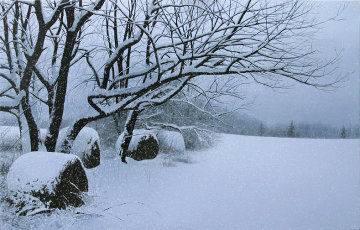 Quiet Snowfall AP  2003 Embellished - Huge Limited Edition Print - Alexander Volkov
