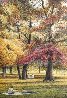 Fall I-IV Series Suite of 4 AP 1985 Limited Edition Print by Harold Altman - 2