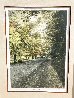 Bridle Path 1984 Limited Edition Print by Harold Altman - 1
