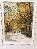 Central Park AP  1986 Framed Set of 4 - NYC - New York City Limited Edition Print by Harold Altman - 4