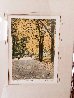 Central Park AP  1986 Framed Set of 4 - NYC - New York City Limited Edition Print by Harold Altman - 5