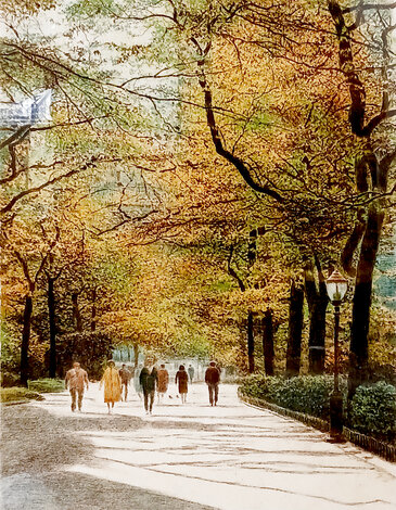 Central Park AP  1986 Framed Set of 4 Lithographs - NYC - New York City Limited Edition Print - Harold Altman