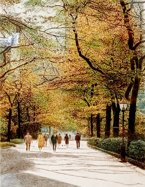 Central Park AP  1986 Framed Set of 4 - NYC - New York City Limited Edition Print by Harold Altman