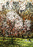 Spring Blossoms 1987 - Central Park - New York, NYC Limited Edition Print by Harold Altman - 0