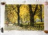Fall 1986 - Central Park, New York - NYC Limited Edition Print by Harold Altman - 1