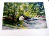 Bridge 1990 - Central Park, New York, NYC Limited Edition Print by Harold Altman - 1
