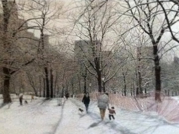 Snow Central Park, New York 1985 Nyc Limited Edition Print - Harold Altman