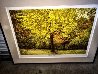 Yellow Tree 1987 Limited Edition Print by Harold Altman - 1
