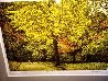 Yellow Tree 1987 Limited Edition Print by Harold Altman - 4
