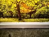 Yellow Tree 1987 Limited Edition Print by Harold Altman - 3