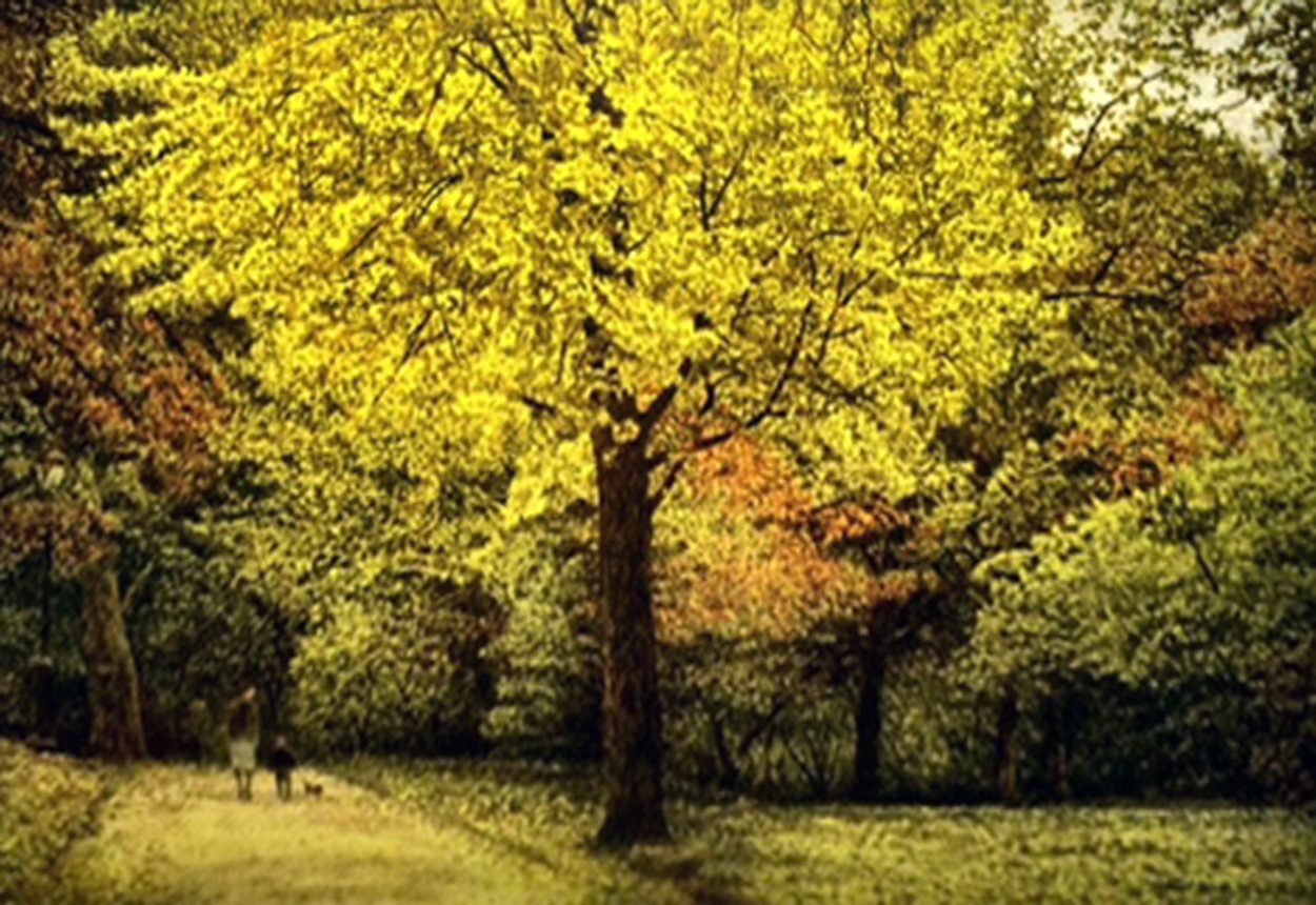 Yellow Tree 1987 Limited Edition Print by Harold Altman Yellow Tree 1987 Limited Edition Print by Harold Altman