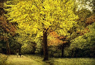 Yellow Tree 1987 Limited Edition Print by Harold Altman - 0 Yellow Tree 1987 Limited Edition Print by Harold Altman - 0