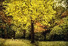 Yellow Tree 1987 Limited Edition Print by Harold Altman - 2
