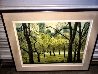 Early Spring 1987 New York - NYC Limited Edition Print by Harold Altman - 1