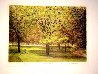 Central Park II 1990 (New York) Limited Edition Print by Harold Altman - 1