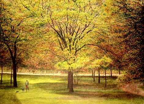 Central Park II 1990 (New York) NYC Limited Edition Print - Harold Altman