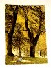 Fall I 1985 (Central Park) Limited Edition Print by Harold Altman - 1 Fall I 1985 (Central Park) Limited Edition Print by Harold Altman - 1