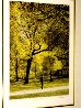 Fall IV 1985 (Central Park) New York - NYC Limited Edition Print by Harold Altman - 2