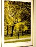 Fall I 1985 (Central Park) Limited Edition Print by Harold Altman - 3 Fall I 1985 (Central Park) Limited Edition Print by Harold Altman - 3