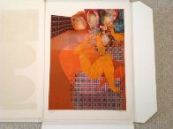 Alhambra Suite of 6 Lithographs Limited Edition Print by Sunol Alvar - 11 Alhambra Suite of 6 Lithographs Limited Edition Print by Sunol Alvar - 11