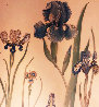 Irises Watercolor 1973 30x24 Watercolor by Diane Anderson - 0