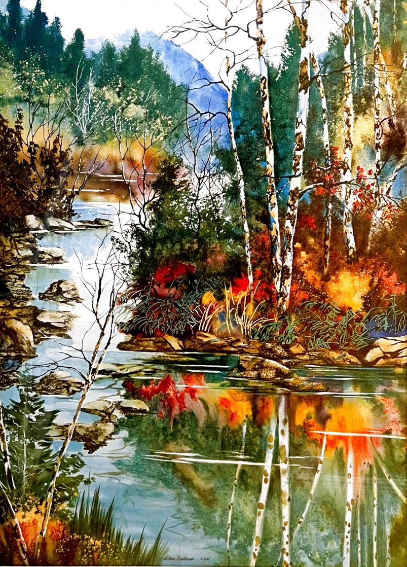 One Still Moment 1990 Limited Edition Print by Diane Anderson One Still Moment 1990 Limited Edition Print by Diane Anderson