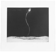 Suite of Six Aquatints 1993 Limited Edition Print by Joe Andoe - 4 Suite of Six Aquatints 1993 Limited Edition Print by Joe Andoe - 4
