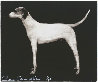 Small Dog (Red, Putty, and Chocolate) Limited Edition Print by Joe Andoe - 2 Small Dog (Red, Putty, and Chocolate) Limited Edition Print by Joe Andoe - 2
