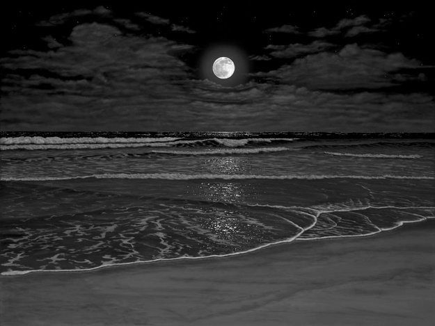 Into the Night AP - Huge Limited Edition Print - Phillip Anthony