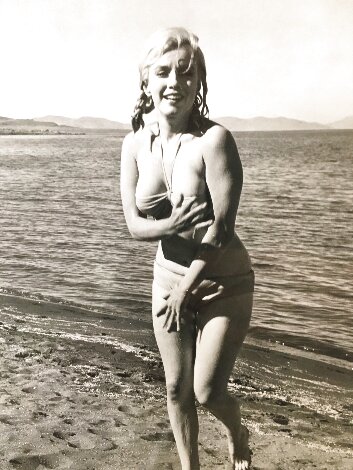 Marilyn Monroe Suite of 9 1961 - Nevada, Pyramid Lake Large Format Photography - Eve Arnold