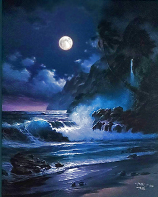 Midnight Paradise 2002 Limited Edition Print by  Arozi