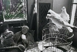 Henri Art Henri Art