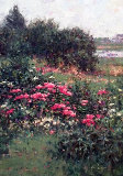 Rolfe, Peter Art