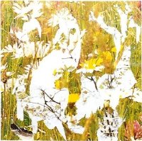 Mimmo Art Mimmo Art