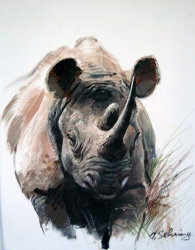 Adolf Art Adolf Art