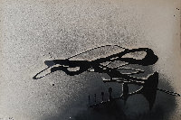 Enrico Art Enrico Art