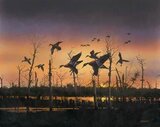 Crowe, Phillip Art