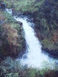 Clark, Joyce Art